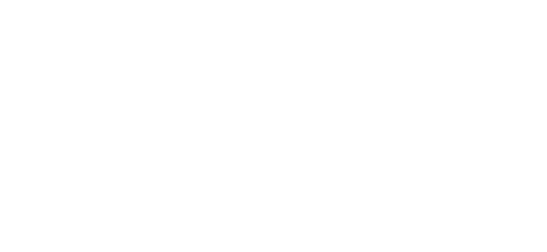 Füzi Desgin logó